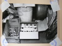 Photographs from the investigation