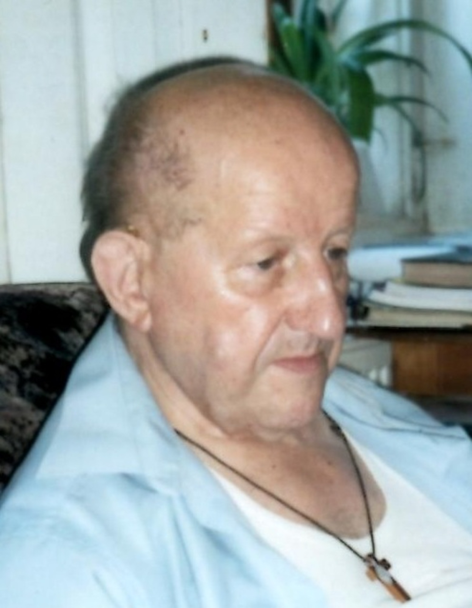 Václav Netuka
