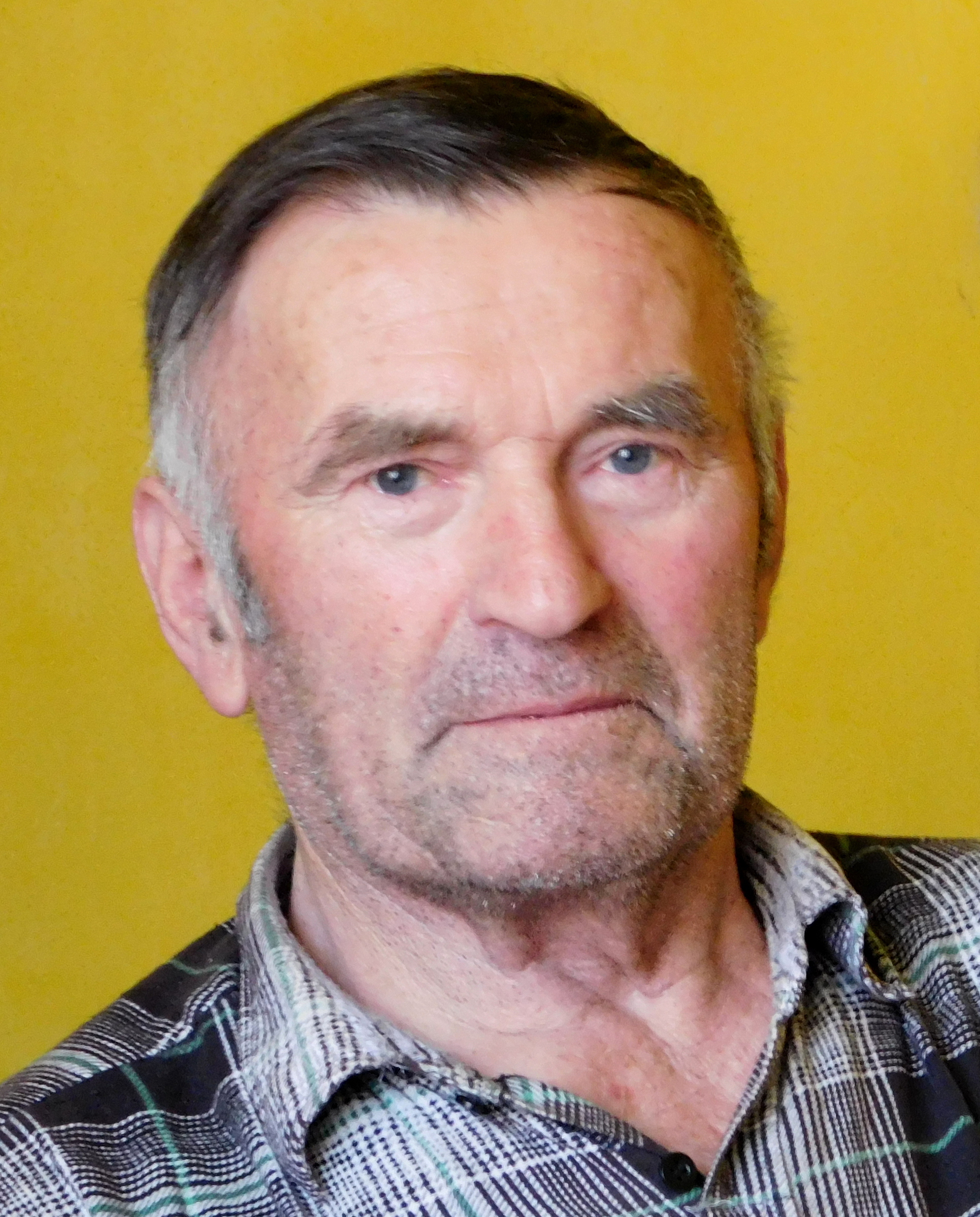 Viktor Schindler - 2016