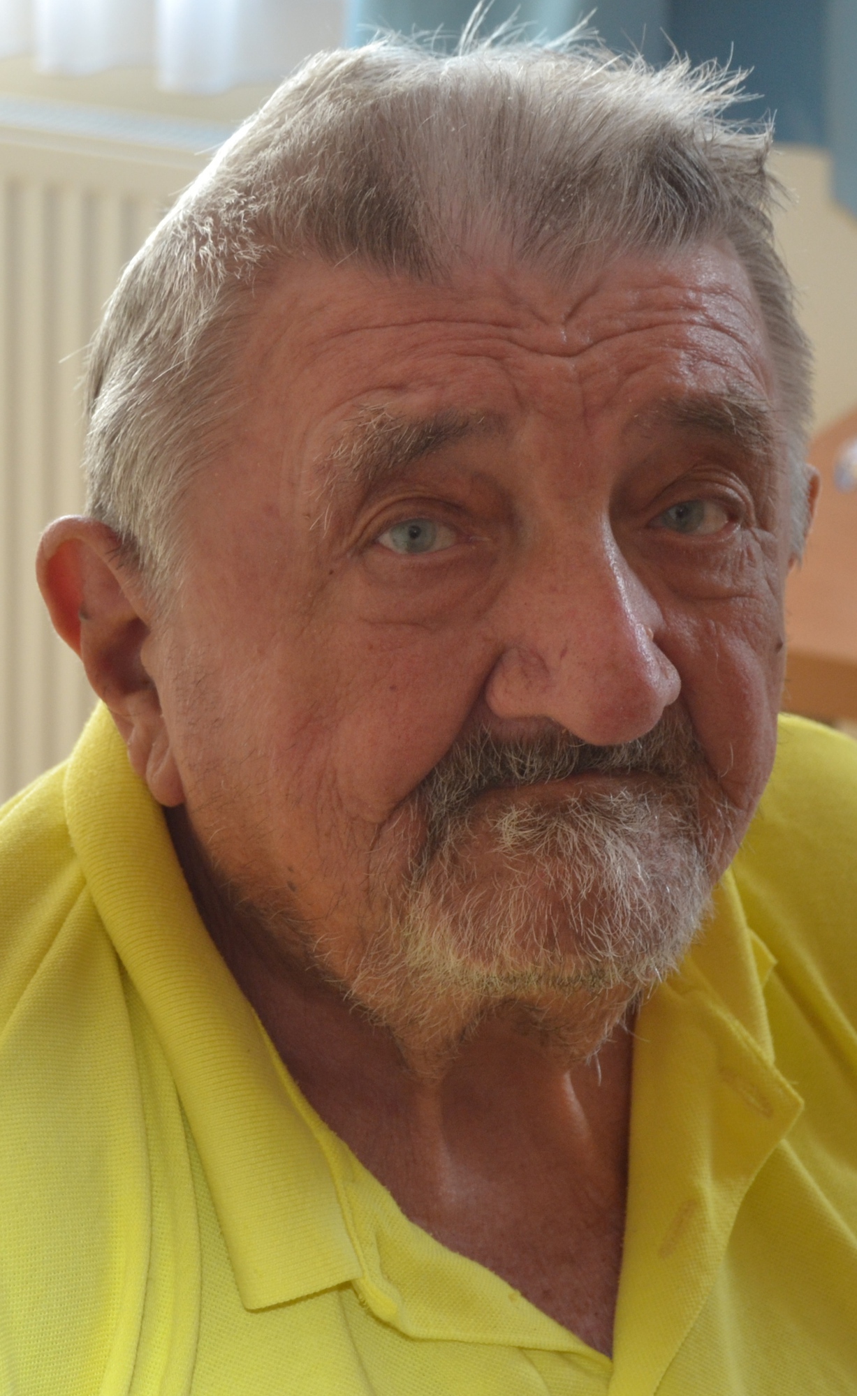 Josef Beran
